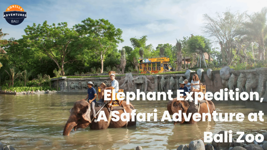 Elephant Expedition