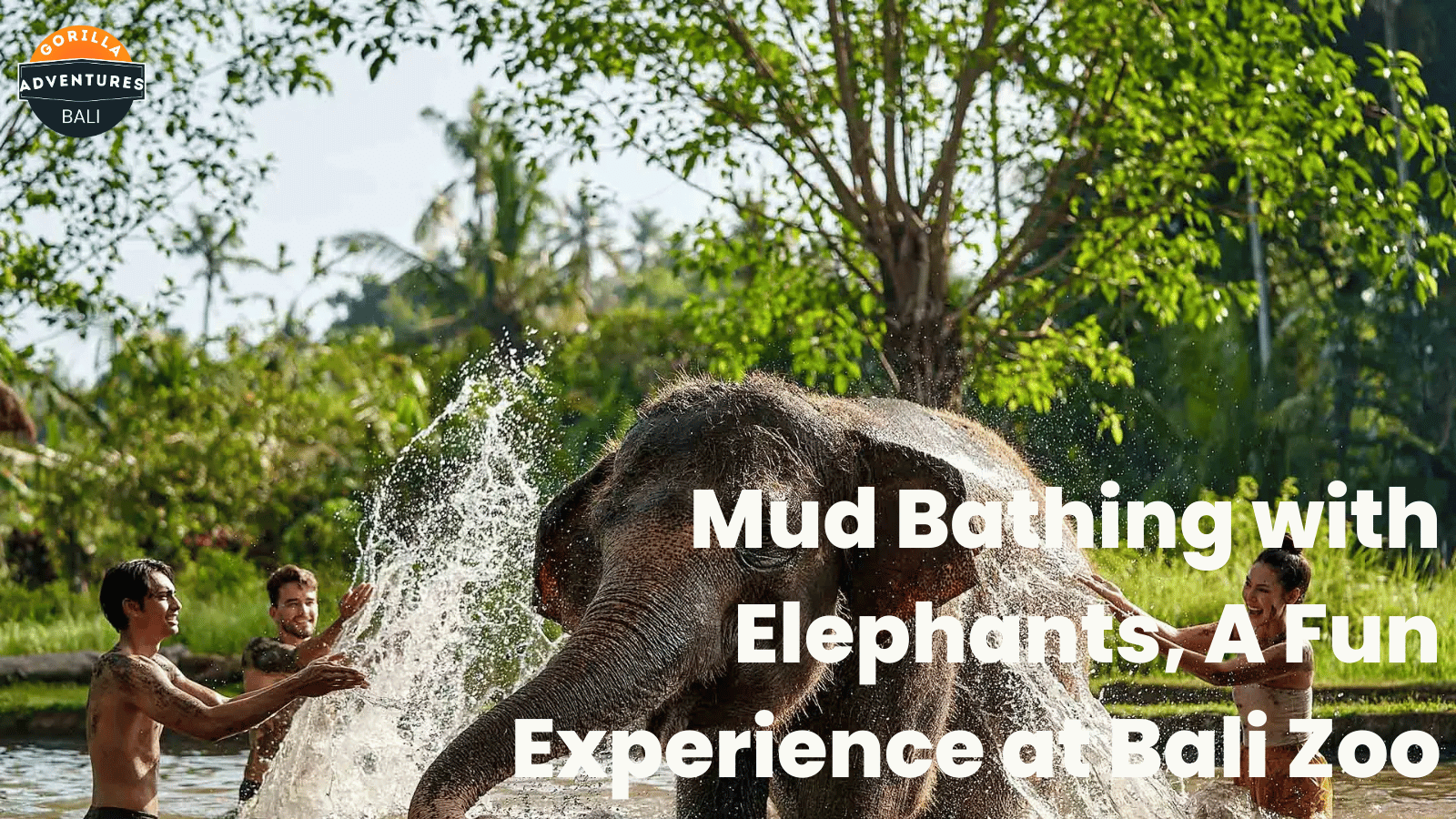 Mud Bathing with Elephants A Fun Experience at Bali Zoo - 𝐆𝐨𝐫𝐢𝐥𝐥𝐚 ...