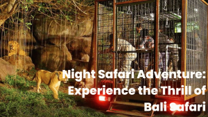 Night Safari Adventure