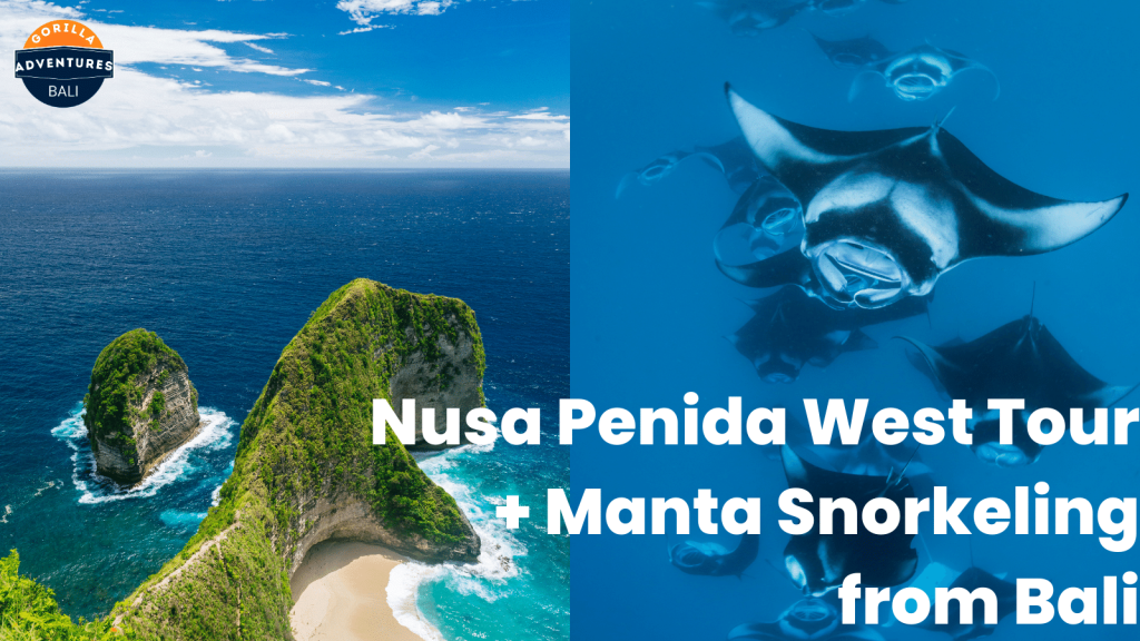 west nusa penida snorkeling