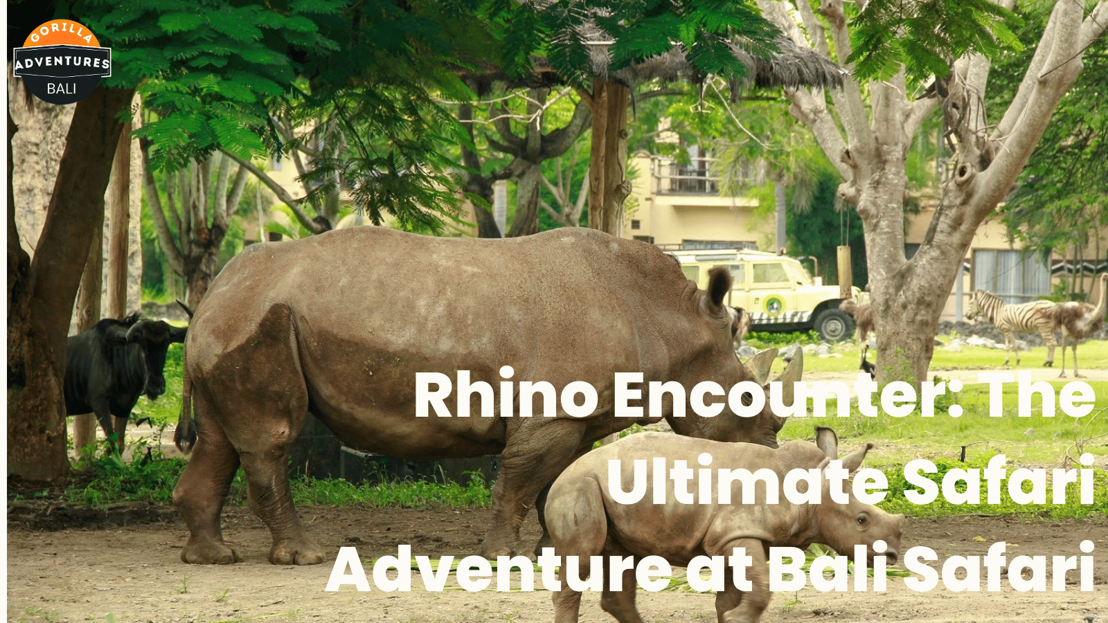 Rhino Bali Safari