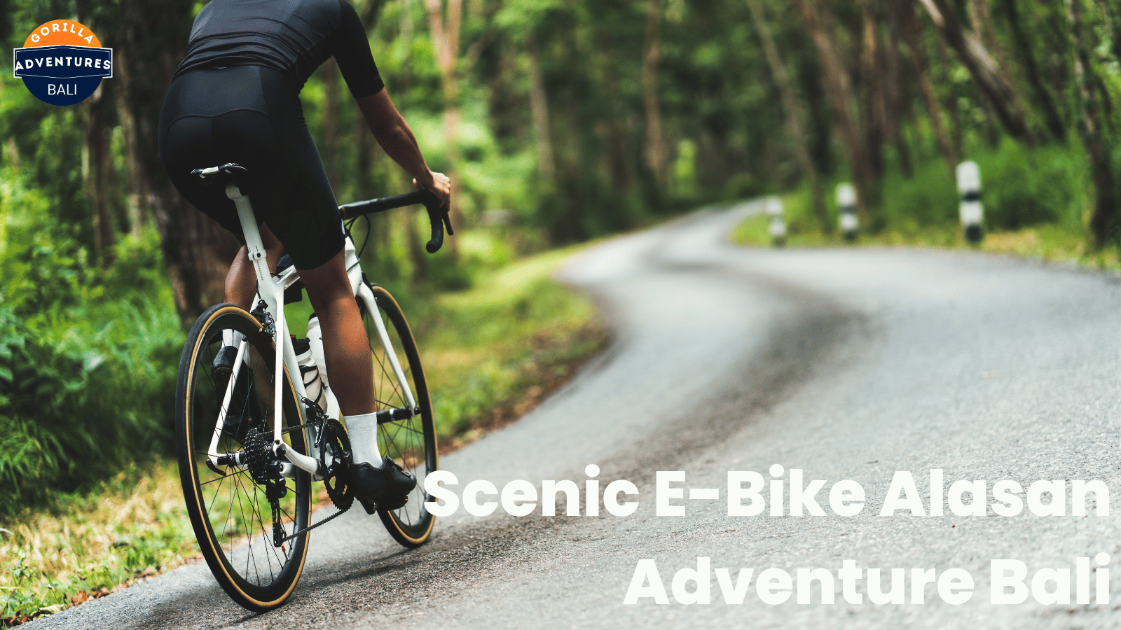 Scenic E-Bike