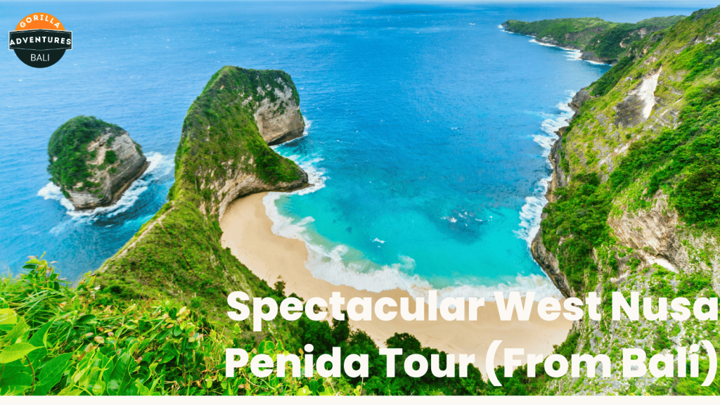 West Nusa Penida Tour