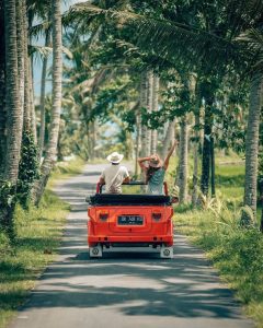 VW Safari Bali Tour