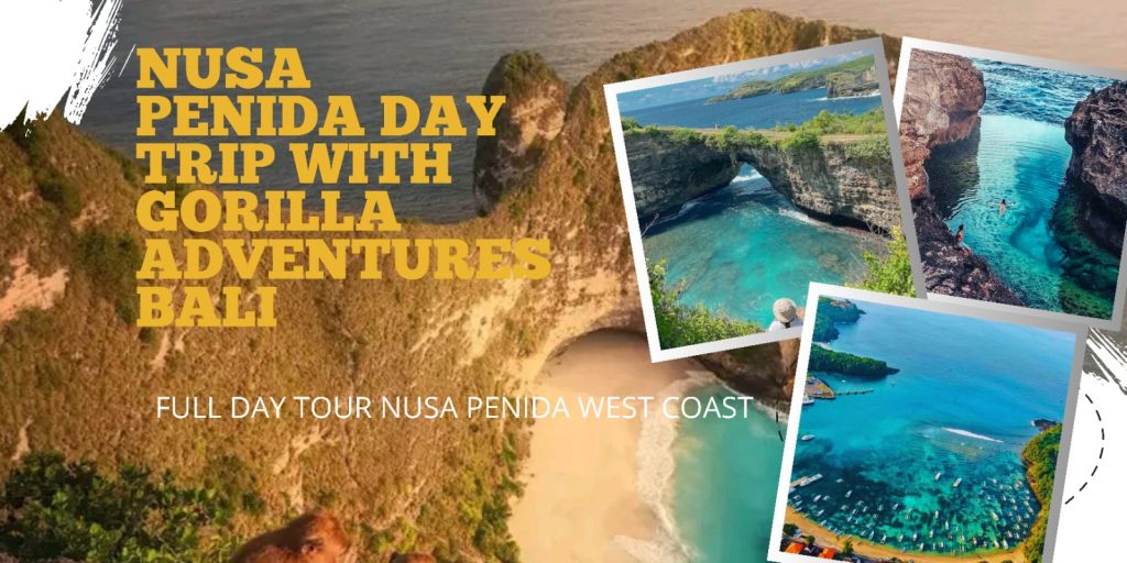 West Nusa Penida Full Day Tour