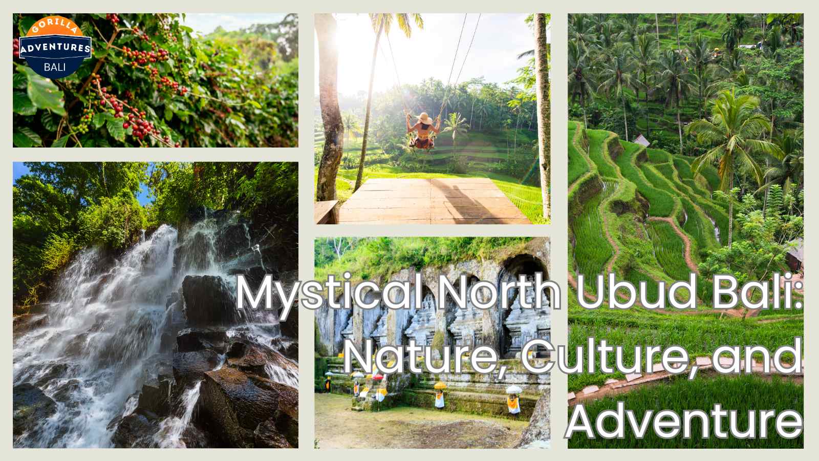 north ubud bali tour