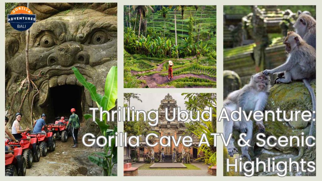 Thrilling Ubud Adventure