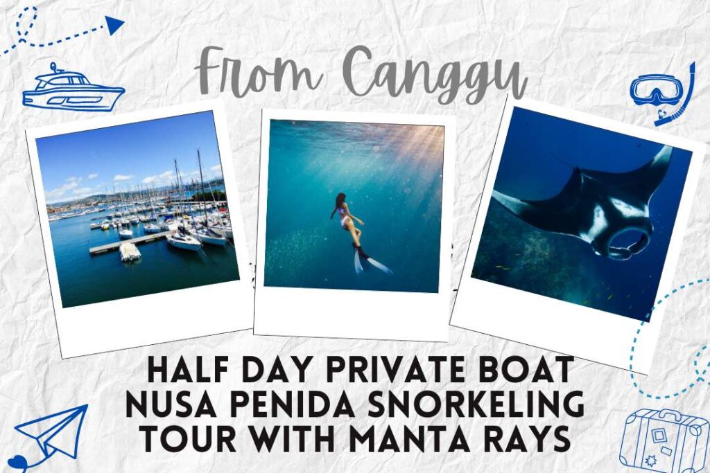 From Canggu: Half Day Private Boat Nusa Penida Snorkeling Tour with Manta Ray
