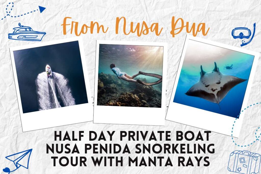 From Nusa Dua: Half Day Private Boat Nusa Penida Snorkeling Tour with Manta Rays