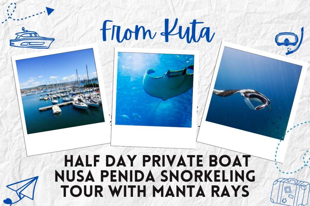 From Kuta: Half Day Private Boat Nusa Penida Snorkeling Tour with Manta Rays