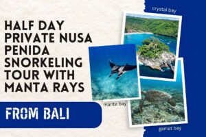 Half Day Private Nusa Penida Snorkeling Tour with Manta Rays from Bali