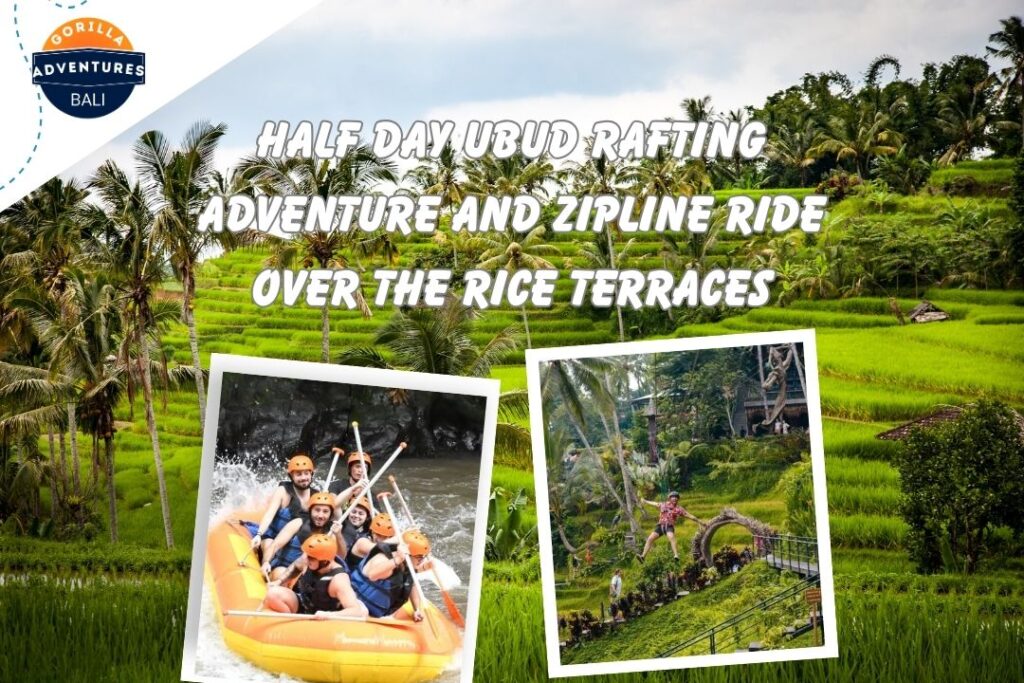 Half Day Ubud Rafting Adventure and Zipline Ride Over the Rice Terraces