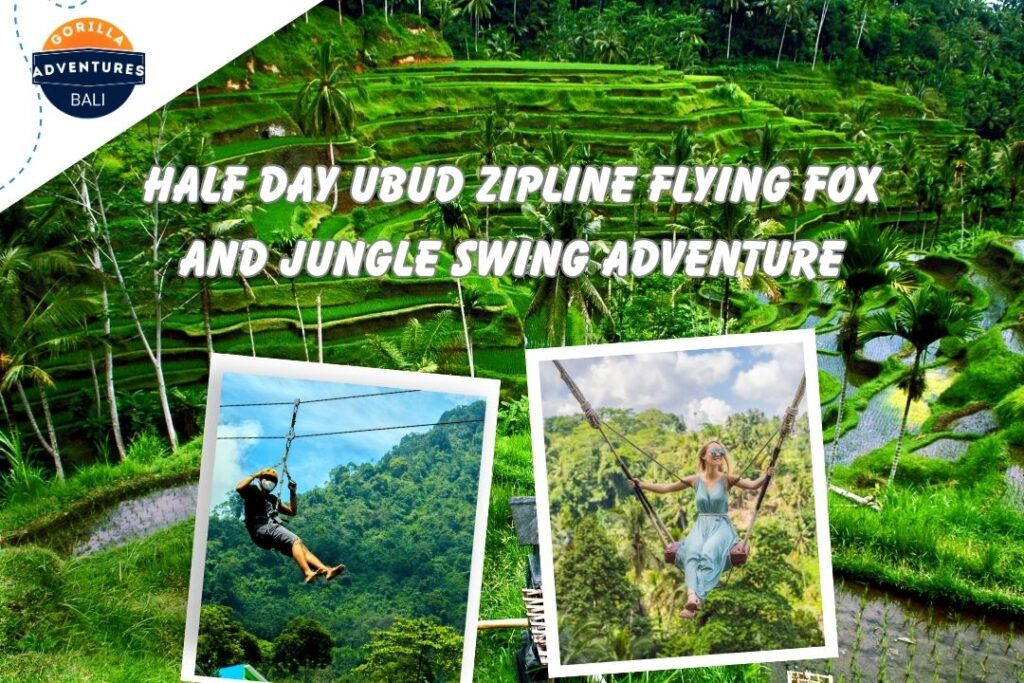 Half Day Ubud Zipline Flying Fox and Jungle Swing Adventure