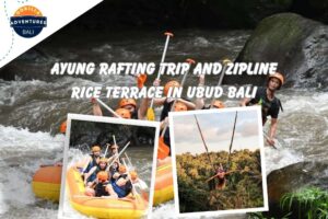 Ayung Rafting Trip and Zipline Rice Terrace in Ubud Bali