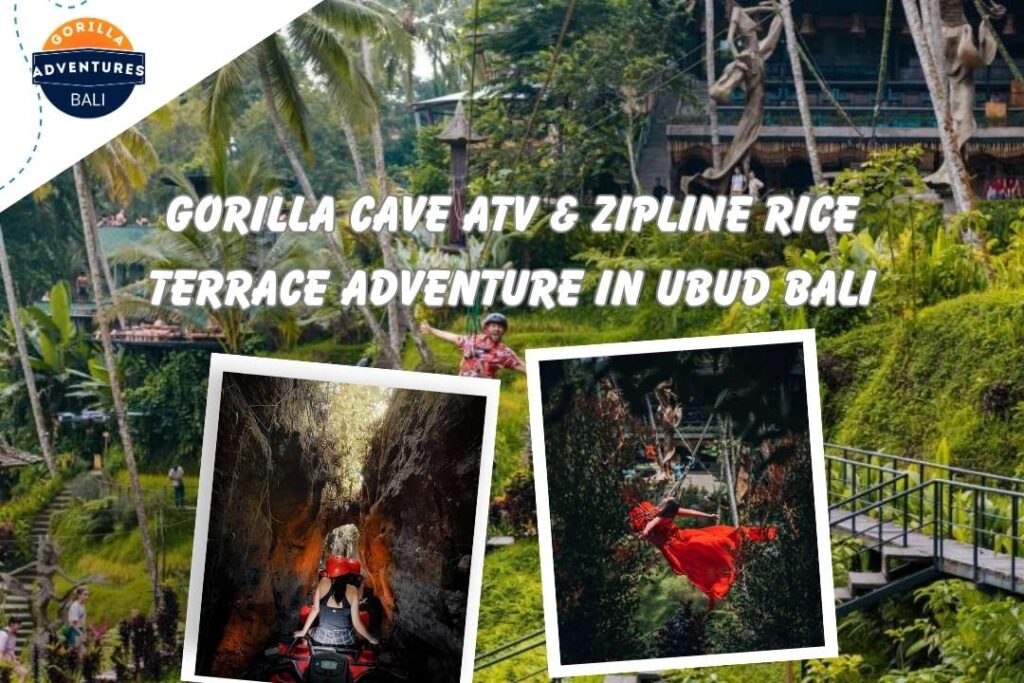 Gorilla Cave ATV & Zipline Rice Terrace Adventure in Ubud Bali