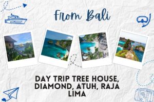 From Bali : Day Trip Tree House, Diamond, Atuh, Raja Lima