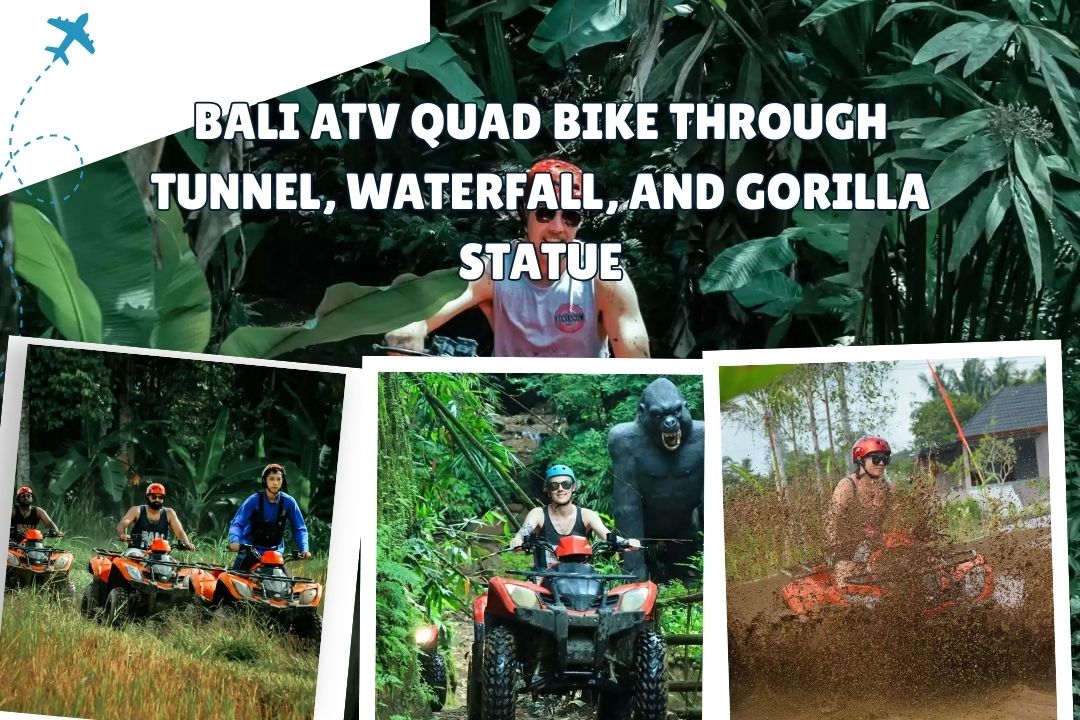 Bali ATV Quad Bike Through Tunnel, Waterfall, and Gorilla Statue