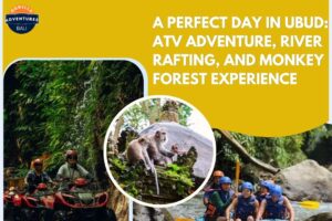 A Perfect Day in Ubud: ATV Adventure, River Rafting, and Monkey Forest Experience