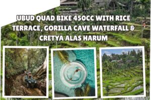 Ubud Quad Bike 450cc with Rice Terrace, Gorilla Cave Waterfall & Cretya Alas Harum
