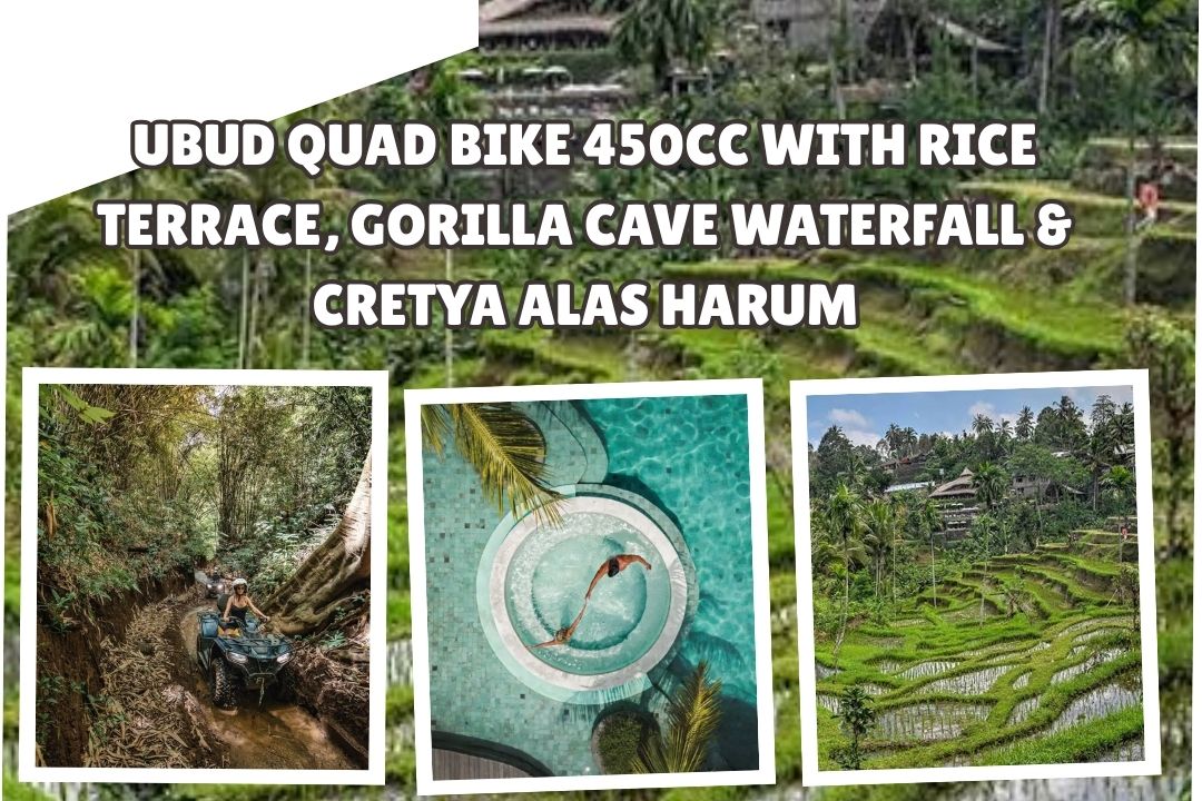 Ubud Quad Bike 450cc with Rice Terrace, Gorilla Cave Waterfall & Cretya Alas Harum