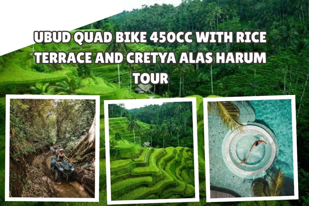 Ubud ATV 450cc with Rice Terrace and Cretya Alas Harum Tour
