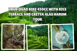 Ubud ATV 450cc with Rice Terrace and Cretya Alas Harum Tour