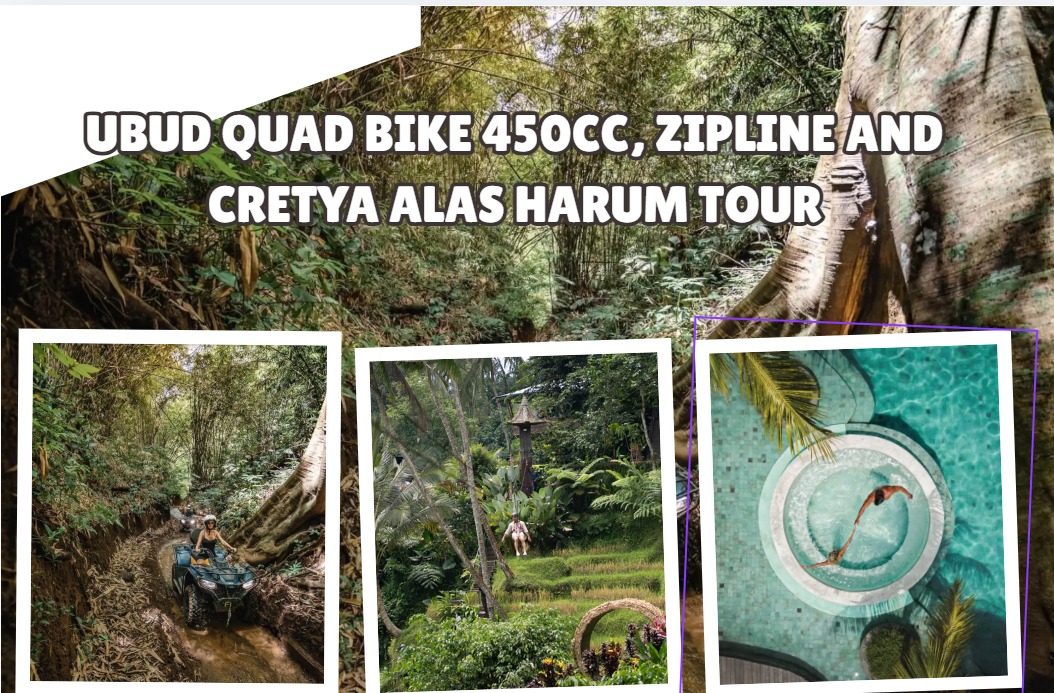 Ubud Quad Bike 450cc, Zipline and Cretya Alas Harum Tour